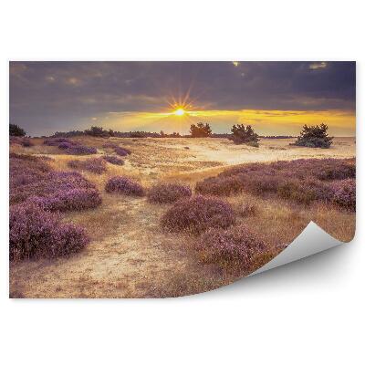 Fotótapéta Heather mező égbolt felhők naplemente fű