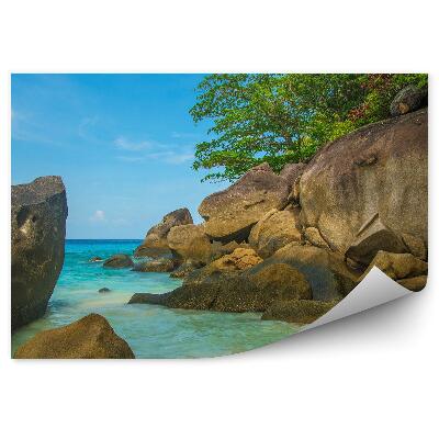 Modern fotótapéta Thaiföld trópusi szigetek fák sziklák