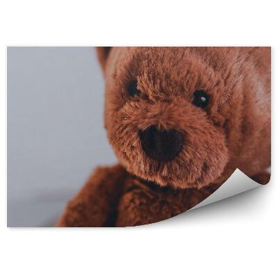 Poszter tapéta Teddi maci