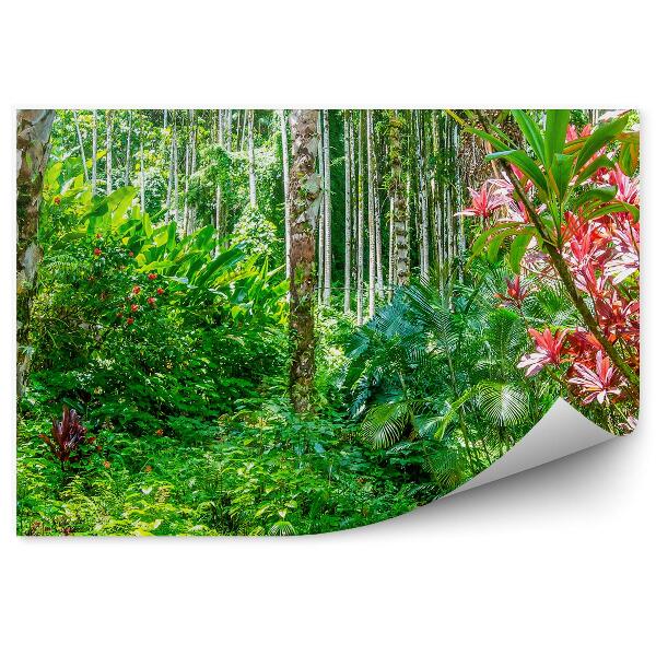 Poszter tapéta dzsungel növények Hawaii