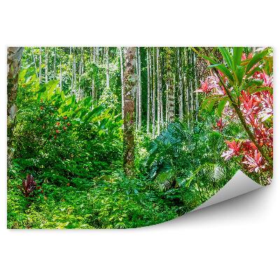 Poszter tapéta dzsungel növények Hawaii