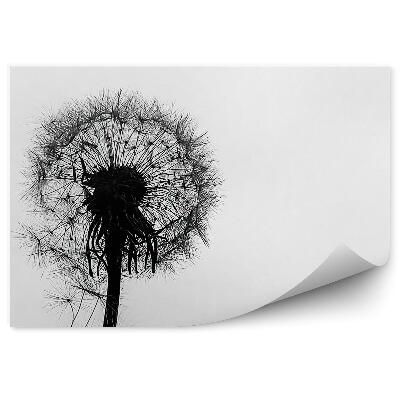 Fotótapéta Gyermekláncfű vízcseppek