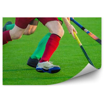 Fotótapéta Mezőhoki pálya