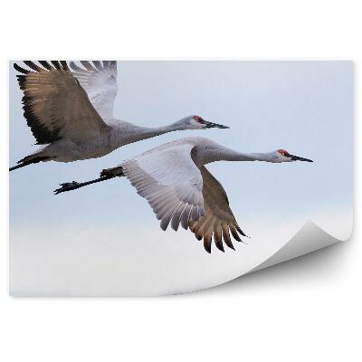 Öntapadós fotótapéta falra Repülő daruk