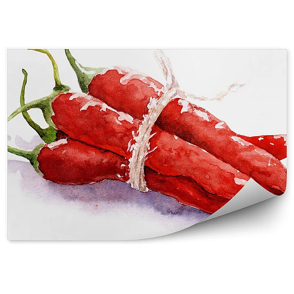 Öntapadós Fotótapéta Falra Rajz zöldség piros paprika kötve