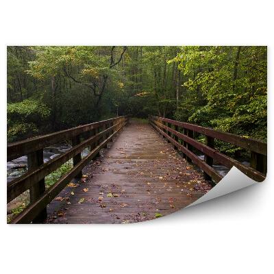 Öntapadós fotótapéta falra Hegyi híd patak fák növények levelei