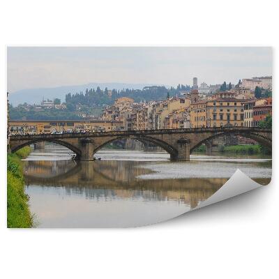 Fotótapéta A Trinity Bridge éjszakai épületei Arno River Firenze növényei