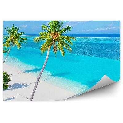 Öntapadós fotótapéta Homokos tengerpart pálmák intenzív színek