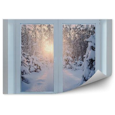 Öntapadó fotótapéta Téli erdő ablak