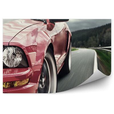 Fotó poszter tapéta Piros autóút, sebesség, erdei fák