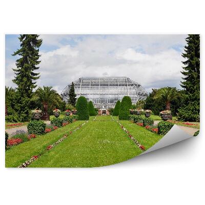 Fotótapéta Kerti bokrok fű virágok zöldellő virágok