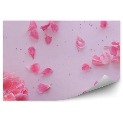 Fotótapéta Rózsaszín hortenzia virágok háttér