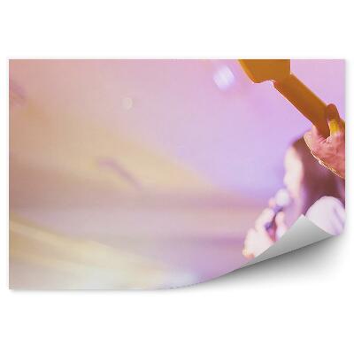 Öntapadós fotótapéta falra Zenekar koncert zenészek hangszerek