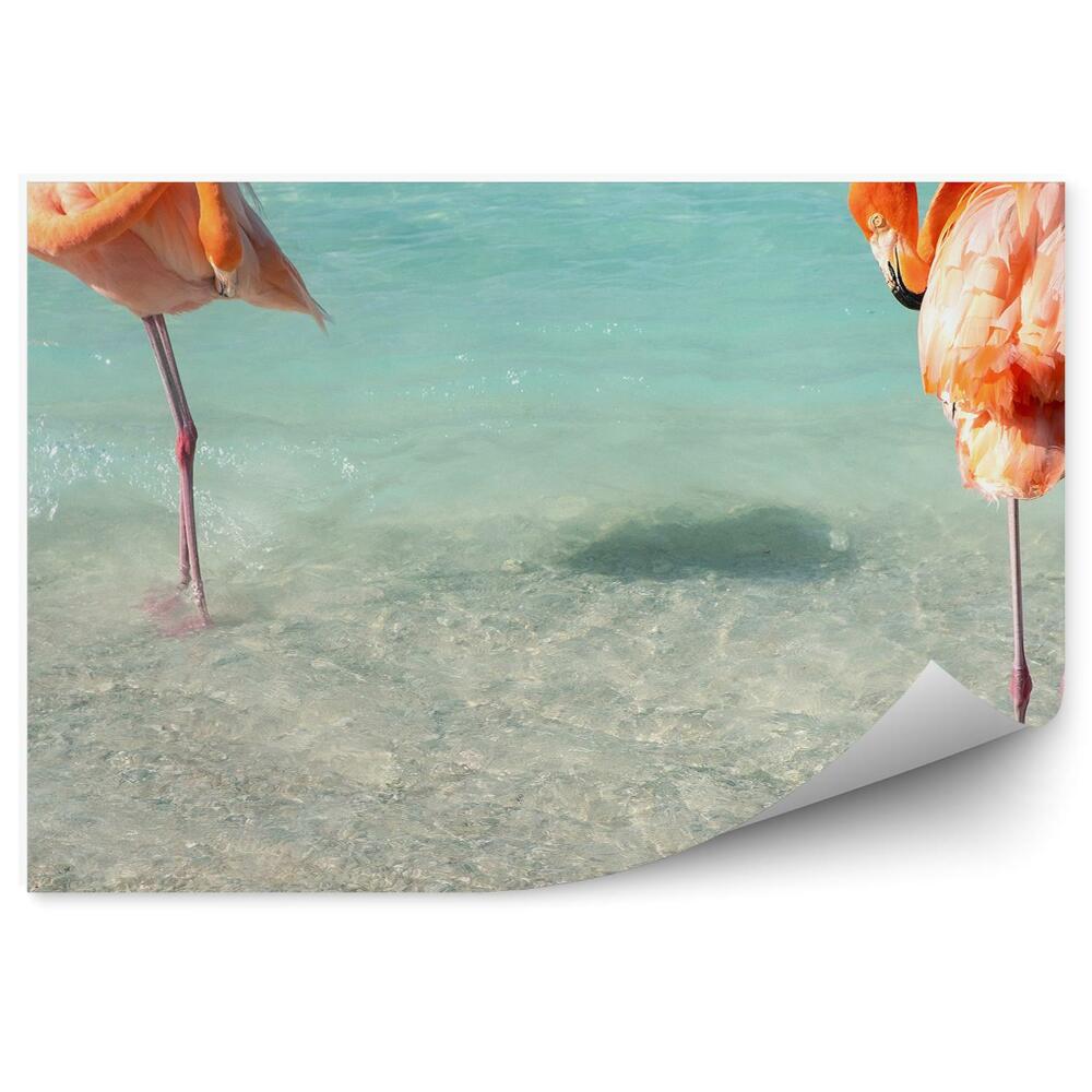 Fotótapéta flamingók karibi tengerpart