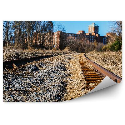 Öntapadós fotótapéta falra Elpusztult vasúti sínek, kövek, fű, város