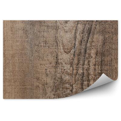 Fotótapéta Sötét fa textúra