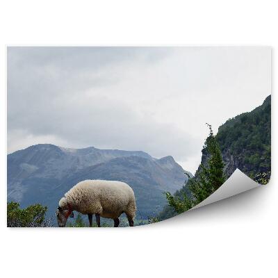 Modern fotótapéta Norvég juhok legelő hegyek természete