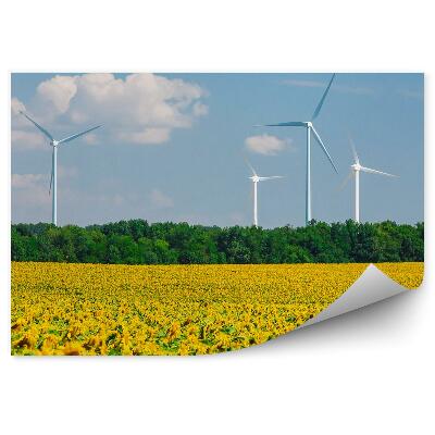 Poszter tapéta Napraforgó mező szélmalmok fák ég felhők virágok