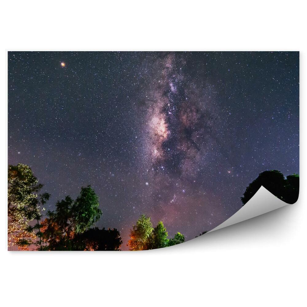 Modern fotótapéta Tejút csillagok space por fák színes fények éjszaka