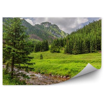 Öntapadós fotótapéta Patak zöld völgyek Tátra hegyek