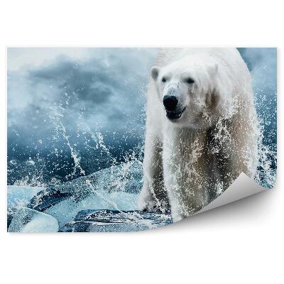 Öntapadós fotótapéta Jegesmedve a jégen a vízcseppek között