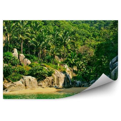 Modern fotótapéta Beach Mexikó természet pálmafák sziklák fa lépcsők