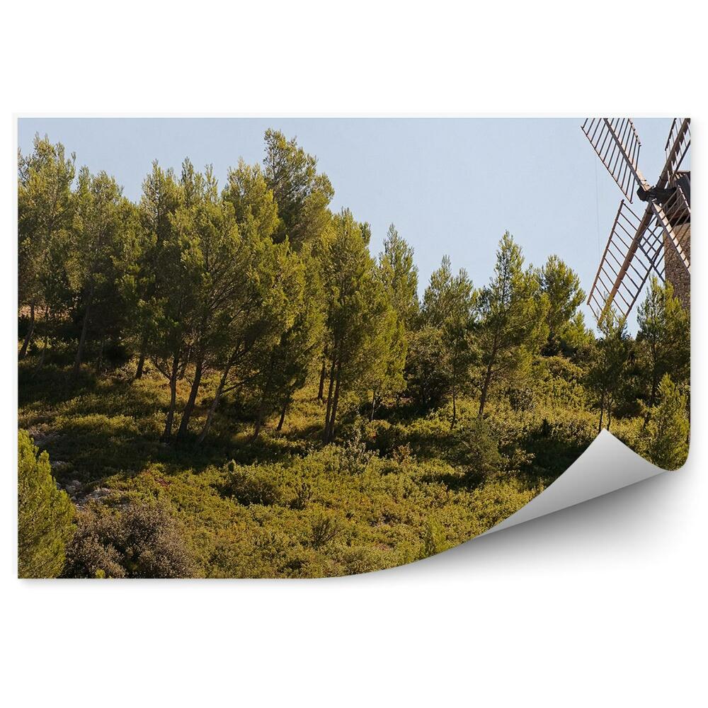 Fotótapéta szélmalom erdő fák ég Provence Franciaország
