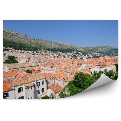 Fotótapéta Természet zöld házak építészet