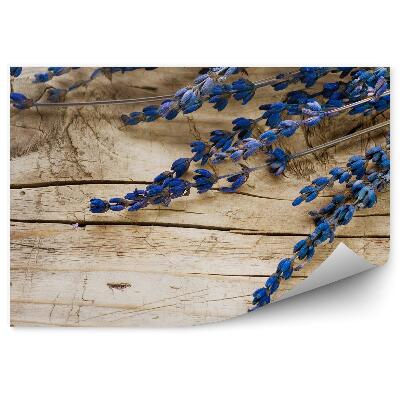 Fotótapéta Levendula egy fából készült háttér