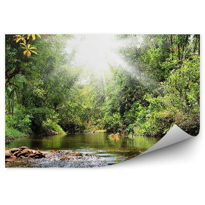 Modern fotótapéta Zöld fa patak növények