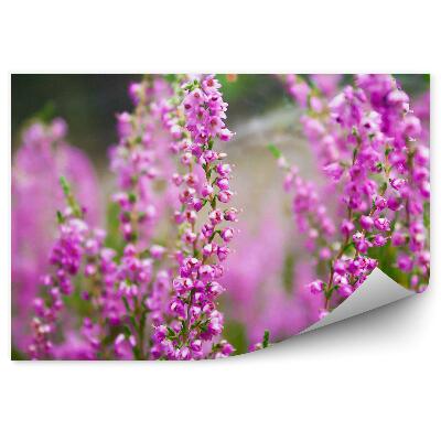 Fotótapéta Rózsaszín hanga