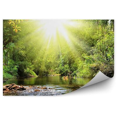 Kép tapéta Erdő folyó természet vegetáció Thaiföld