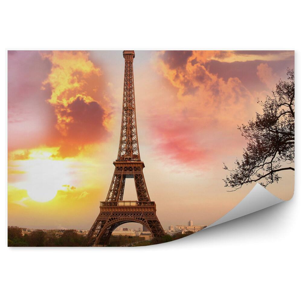 Fotótapéta Párizs Eiffel-torony Park felhők