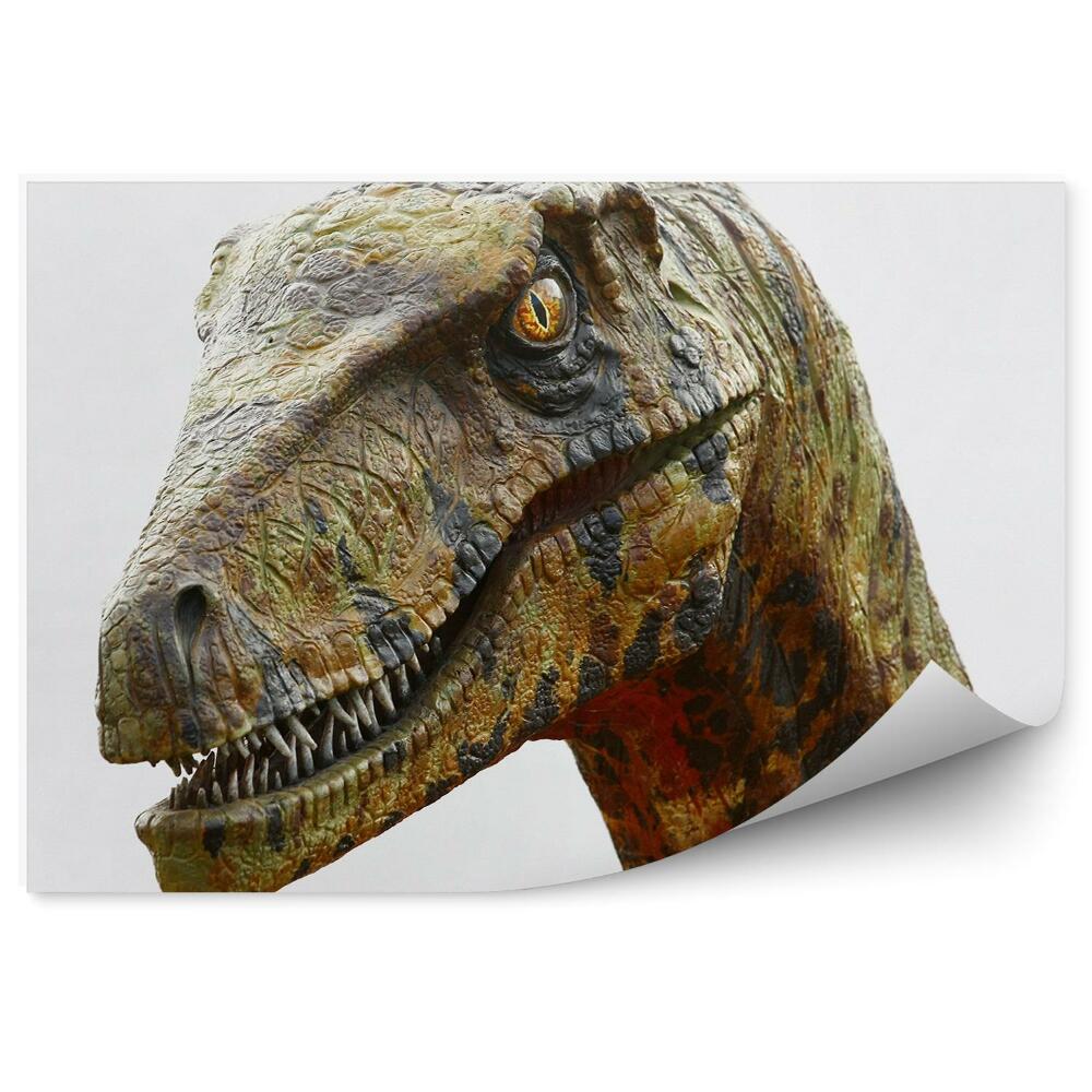 Fotótapéta Dinoszaurusz fej fehér háttér
