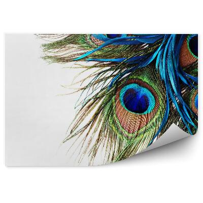 Öntapadós fotótapéta pávatoll