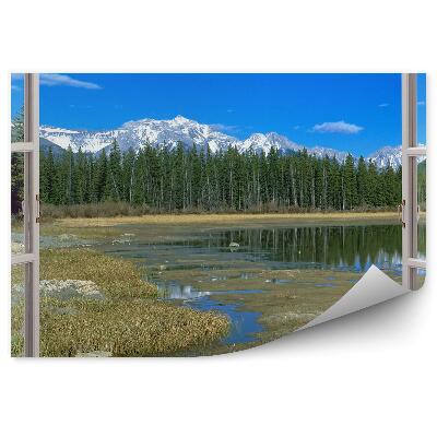 Fotótapéta Erdei karácsonyfák nyitott ablak hegyre néző kilátással