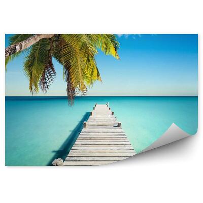 Öntapadós fotótapéta Coconut Beach