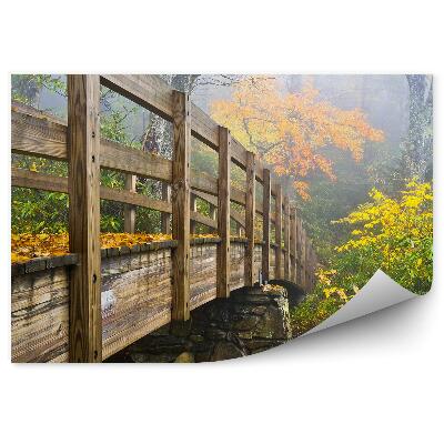 Modern fotótapéta Hidak levelek fák bokrok levelek ég