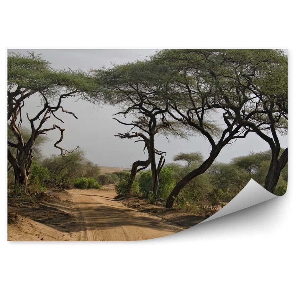 Modern fotótapéta Fák út sivatagi hegyek táj ég felhők Afrika