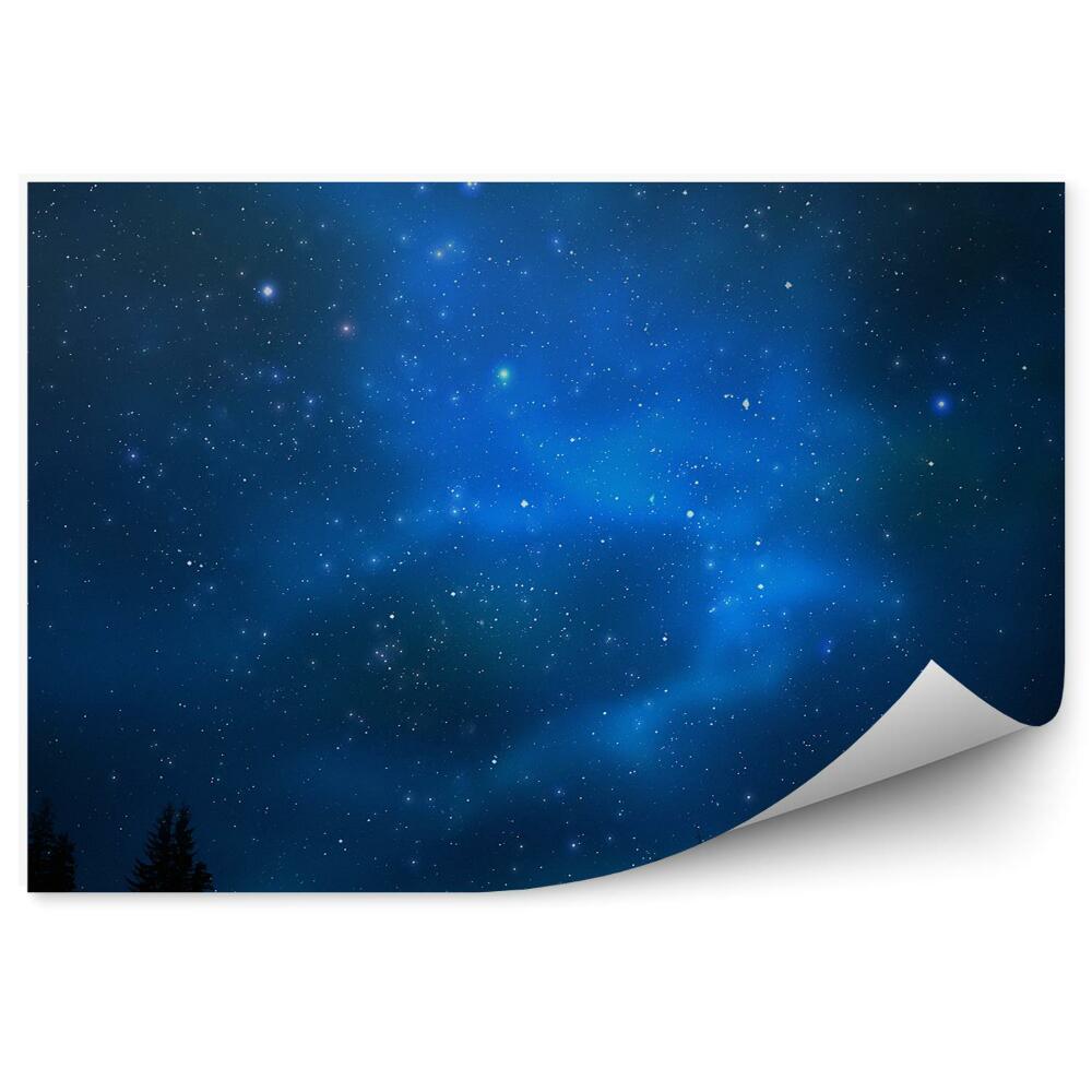 Öntapadós fotótapéta falra Univerzum égbolt tele csillagokkal ködök galaxis tűlevelű fák éjszaka
