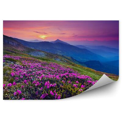 Fotótapéta Hegyi táj