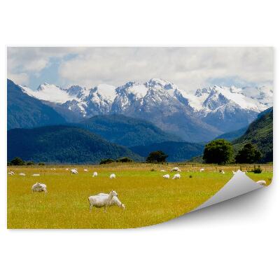 Öntapadós fotótapéta Juh hegyek Alpok fák növények hó téli felhők ég