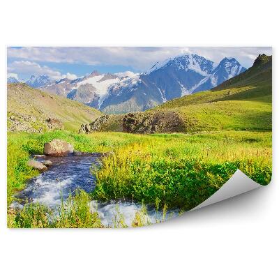 Öntapadós fotótapéta folyó rét hegyek zöld