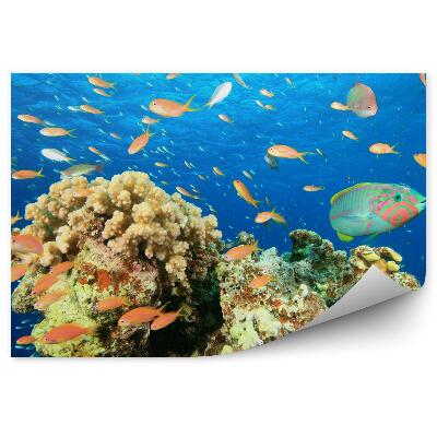 Öntapadó fotótapéta Halraj