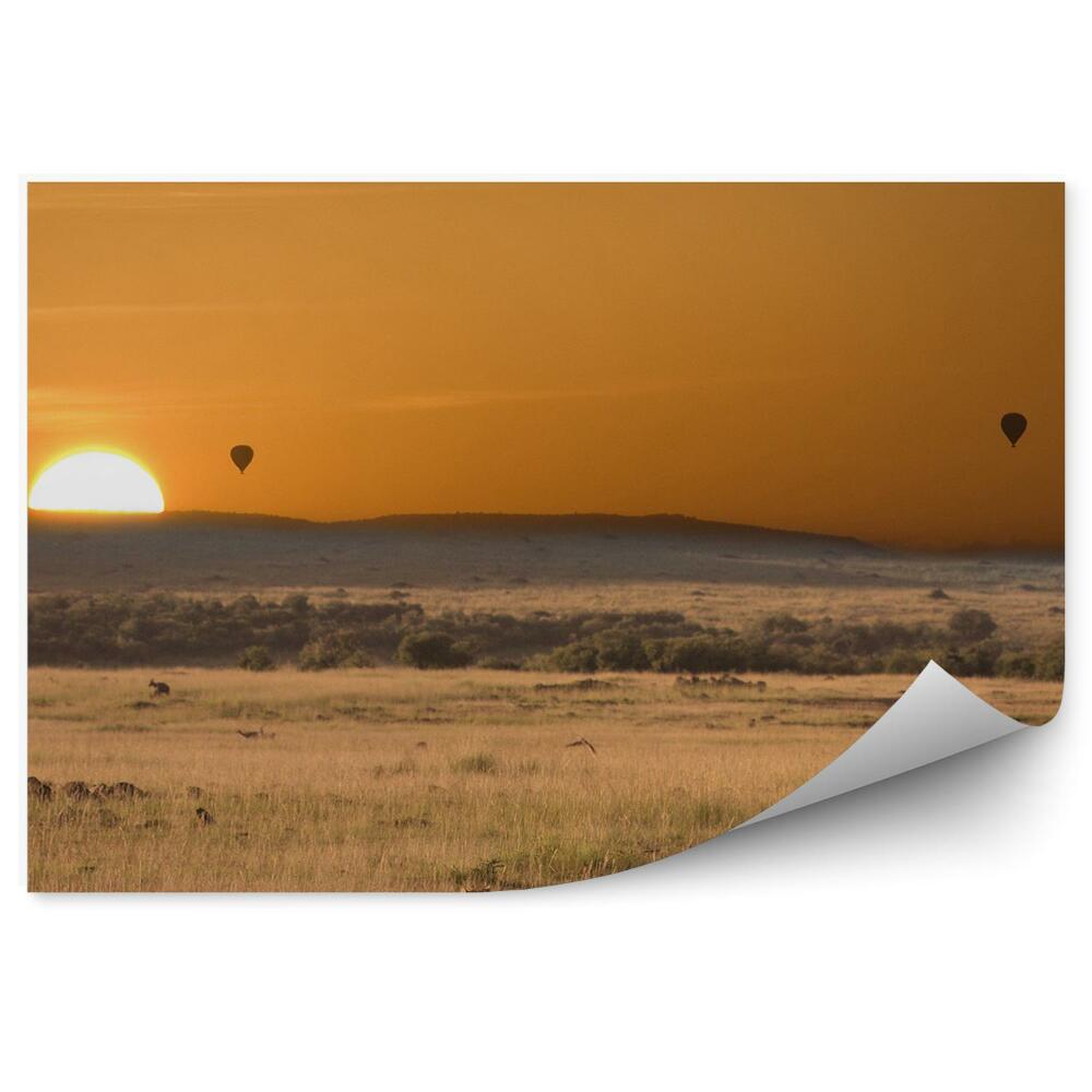 Modern fotótapéta Gepárdok Afrika léggömbök nap fű