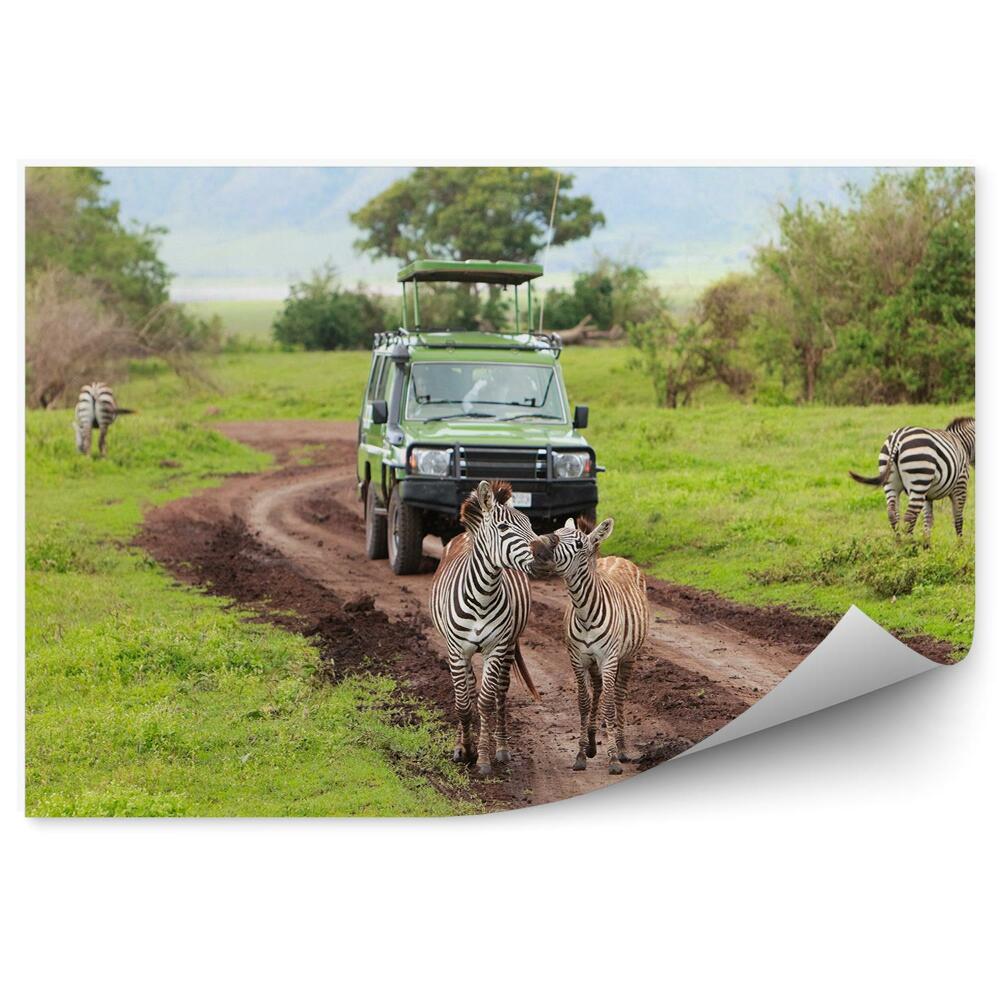 Modern fotótapéta Szafari zöld zebra állatok