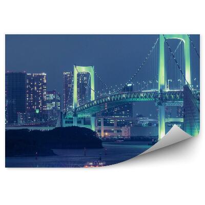 Öntapadós fotótapéta falra Megvilágított híd, hajóforgalom, város