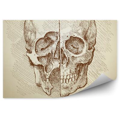 Fali poszter tapéta Koponyarajz