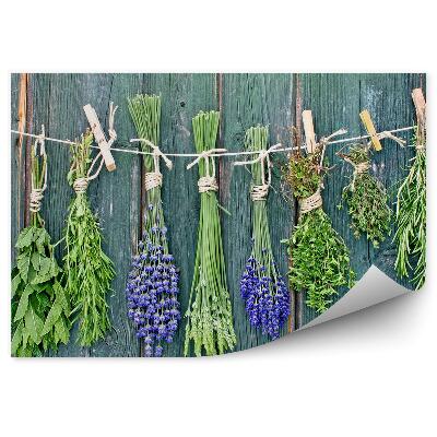 Kép Tapéta Friss fűszernövények