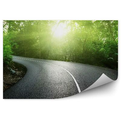 Fotótapéta üres út dzsungel fák növények Seychelles